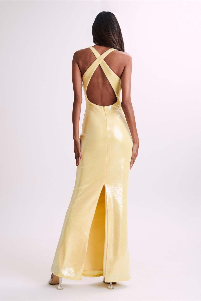 Backless Floral Sequin Maxi Dress