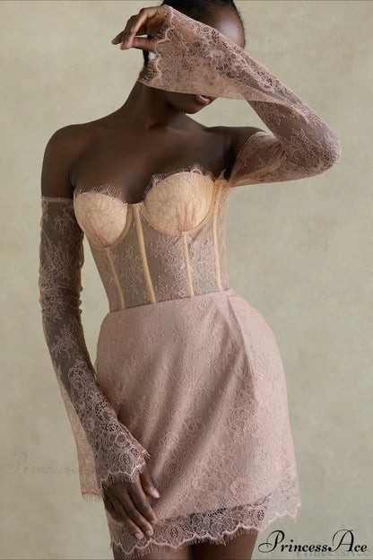 Elegant Sexy Lace Sheer Party Dress